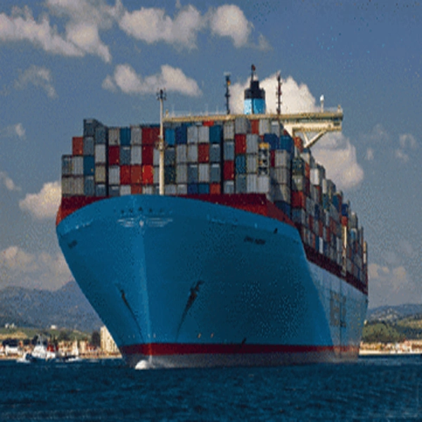 Sea Shipping Logistics From Shanghai to San Antonio, Chile