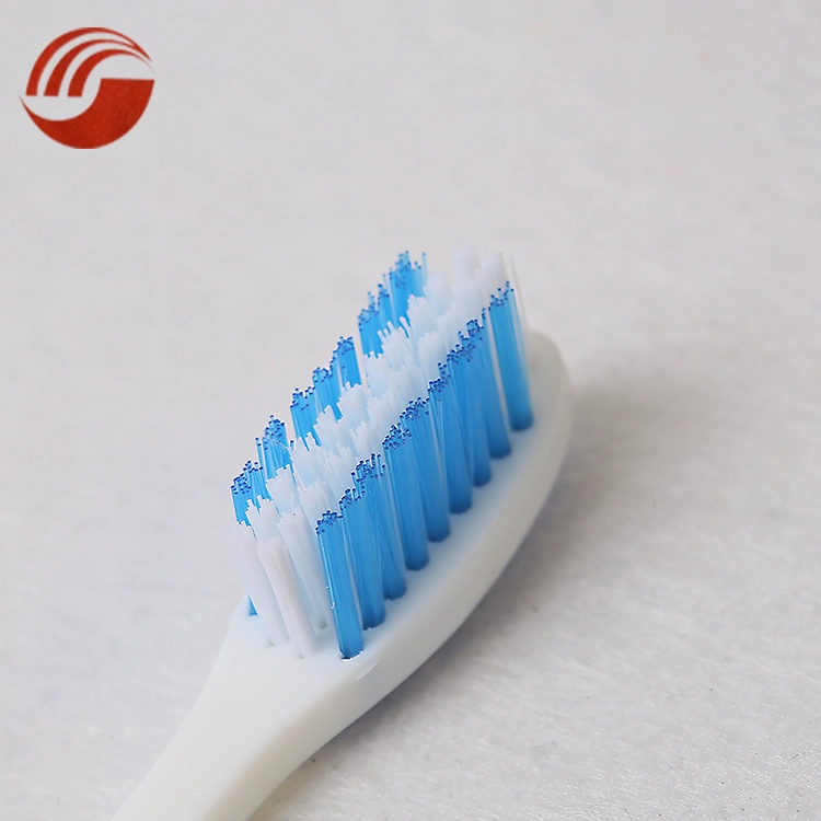 New Design High quality/High cost performance  Best Selling Travel Toothbrush