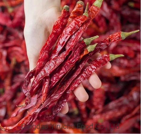 New Crop Air Dried Type Dry Red Chilli