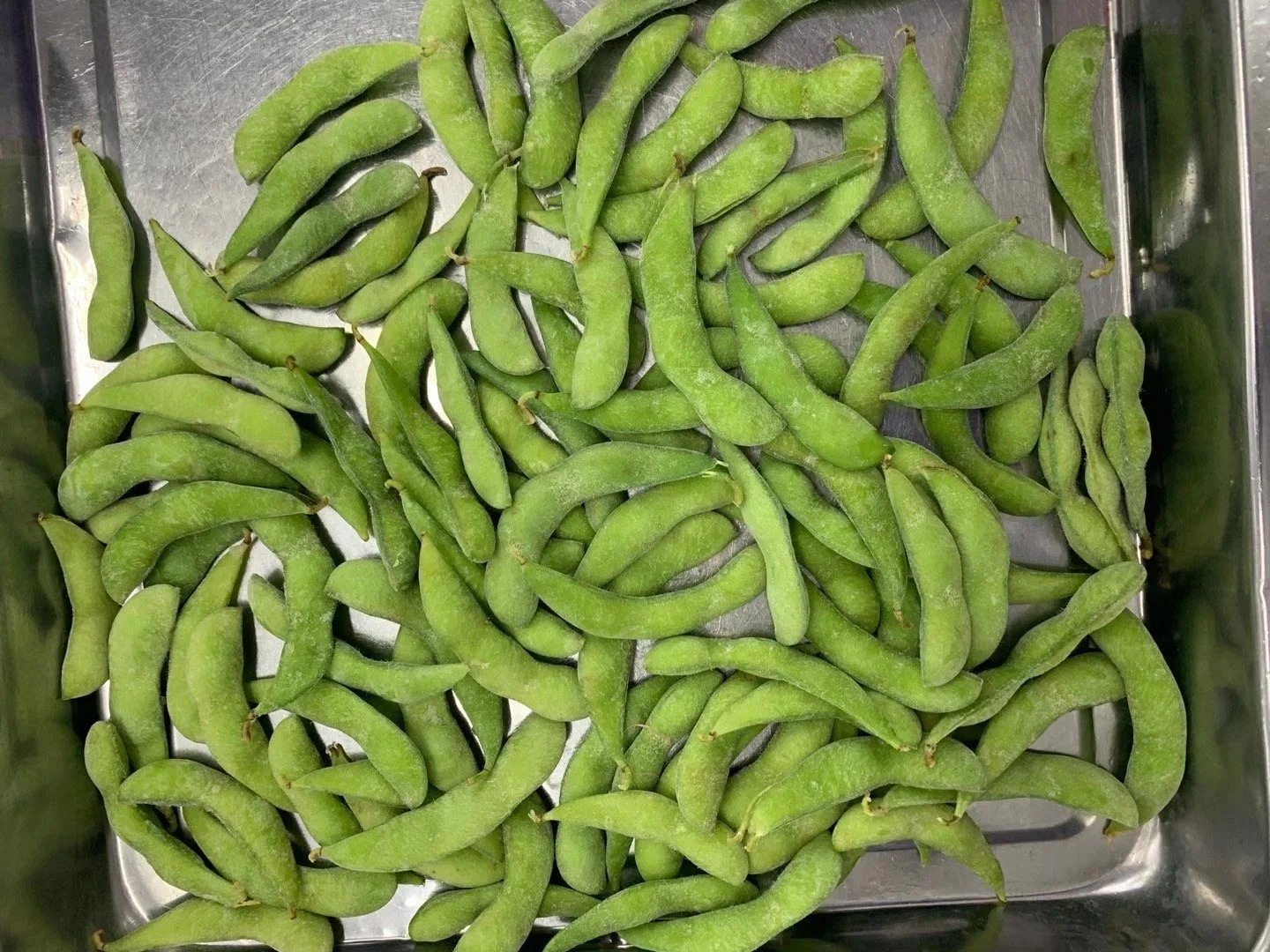 Aliments surgelés IQF pois écossés Edamame ensemble de la Chine usine