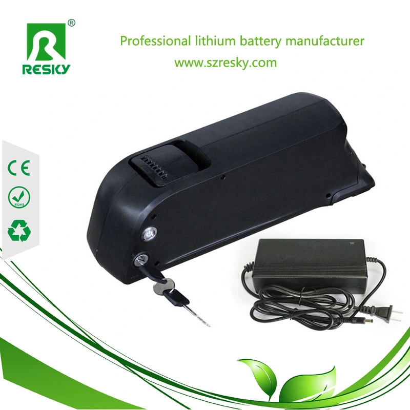 48V 10Ah Pack de batterie avec port USB pour le gras Ebike