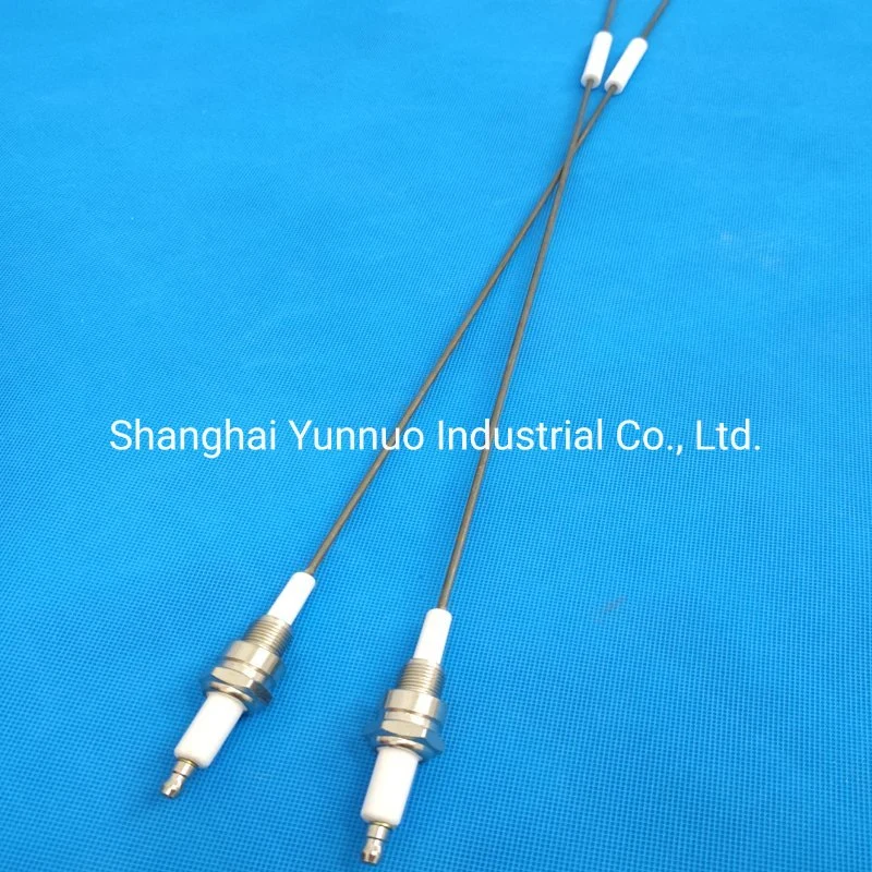 99% 95% Alumina Ceramic Ignition Pin for Gas Burner