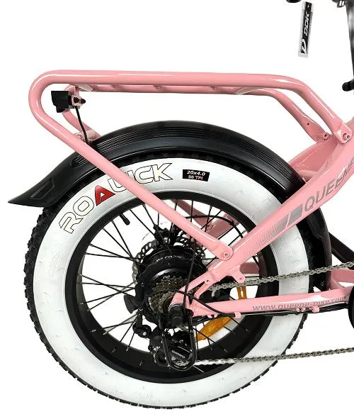 Queene bon marché gamme 750W poussière hors route E Bike 20 po FAT tire Mountain suspension complète vélo électrique autre vélo