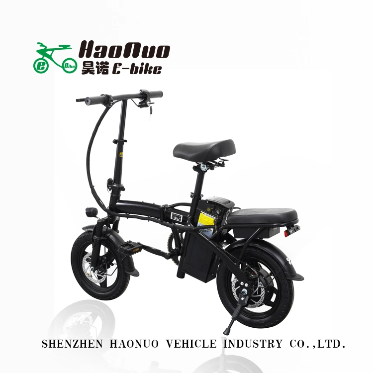 14 Inch 48V 350watt Fold Product Electric Bike