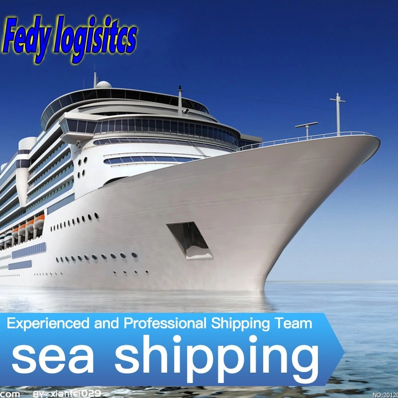 Sea Shipping Forwarder Agent to USA and Canada DDP DDU and Amazon Service