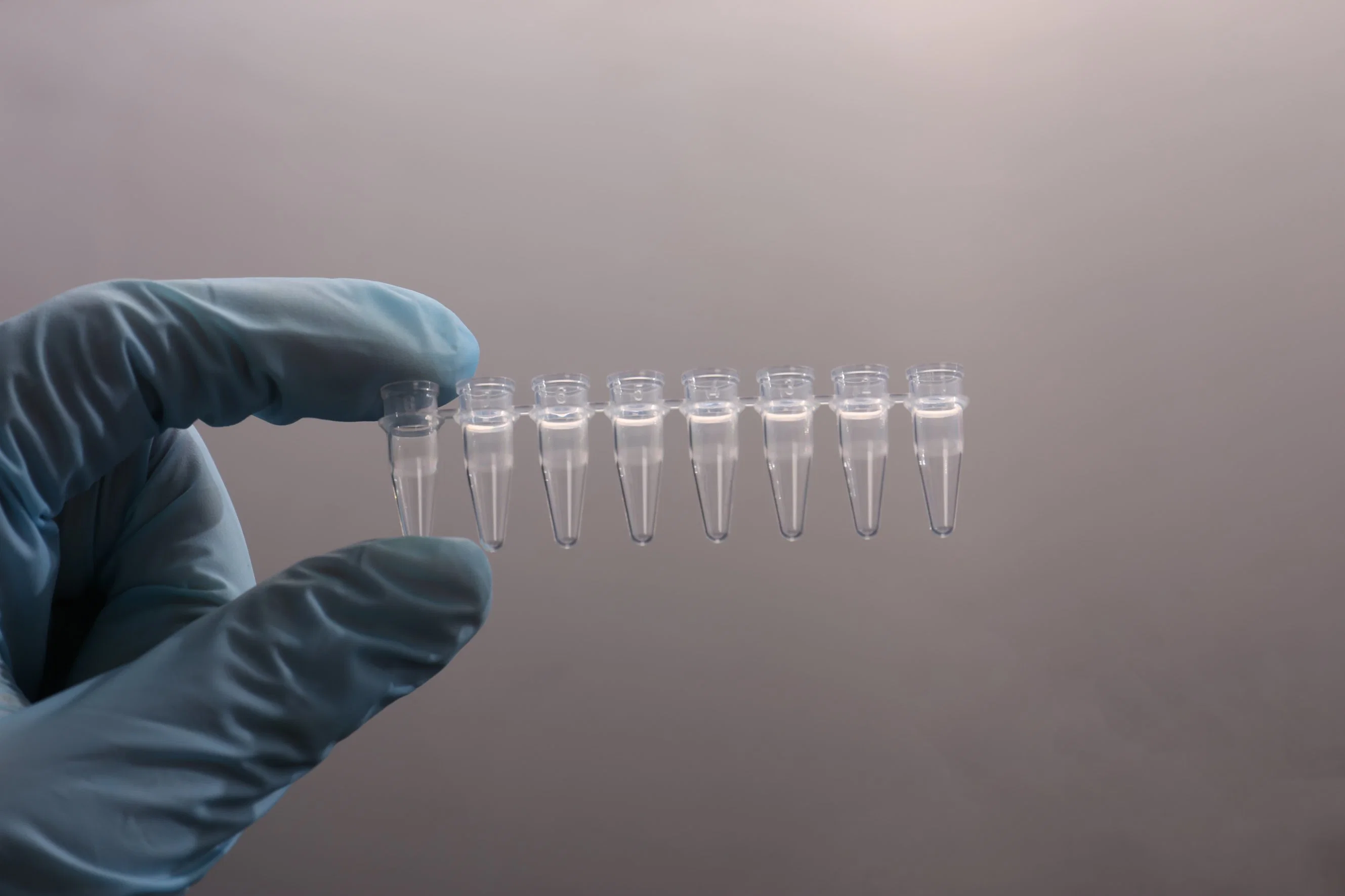 8-Strip PCR Centrifuge Tubes for Test Use