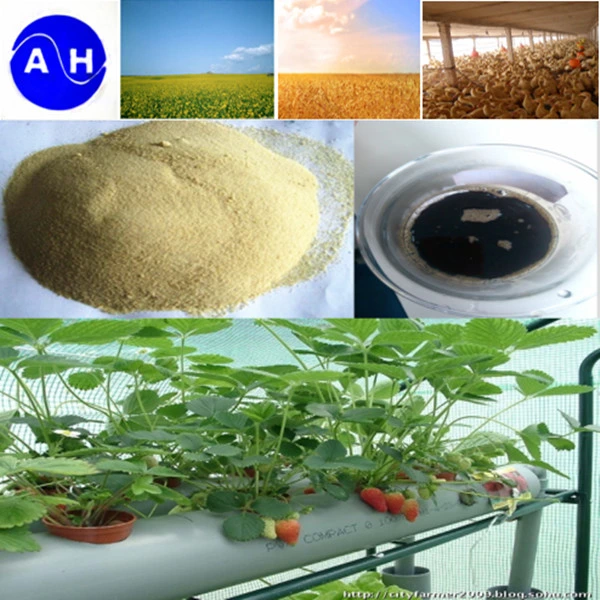 Plant Source Calcium Amino Acid Chelate for Organic Fertilizer