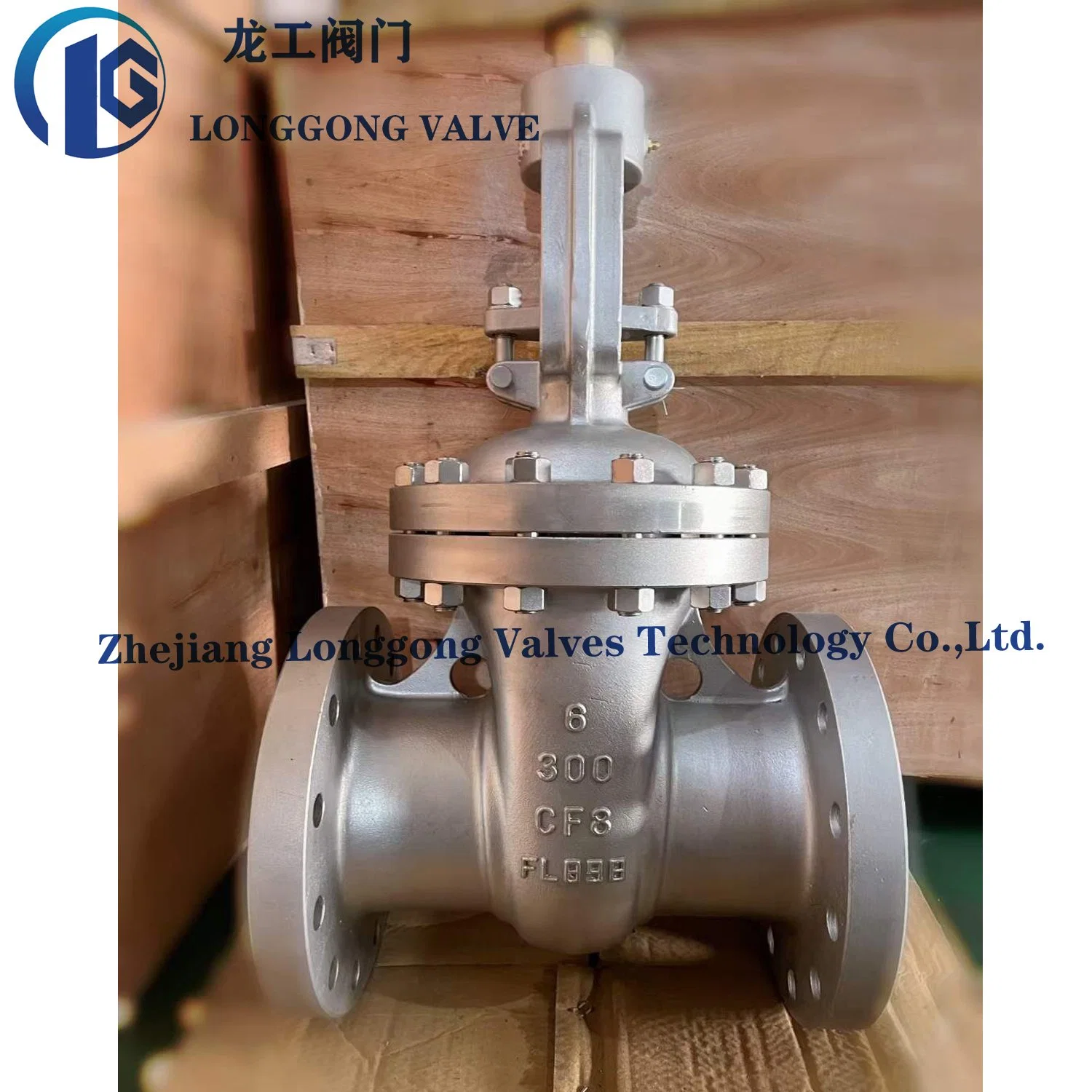 API600/ASME/API6d Wheel/Bevel Gear/Electric/Pneumatic 300lb/10K/Pn16 Stainless Steel/Carbon Steel/CF8m/Wcb Flange End OS&Y Wedge Industrial Gate Valves