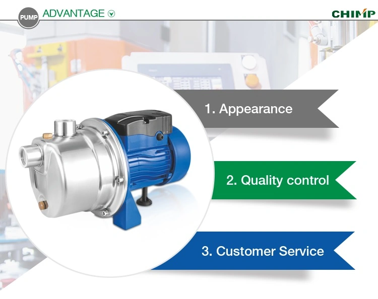 Cabezal de bomba de acero inoxidable 1 HP agua limpia AutoPriming Jet Bomba
