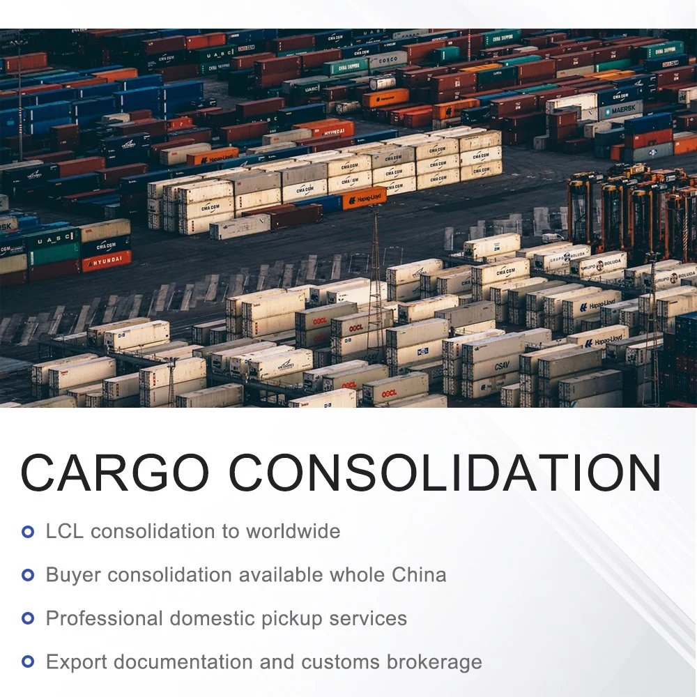 Professional Rail Cargo Services to Europe or Fast Railway Transportation From China