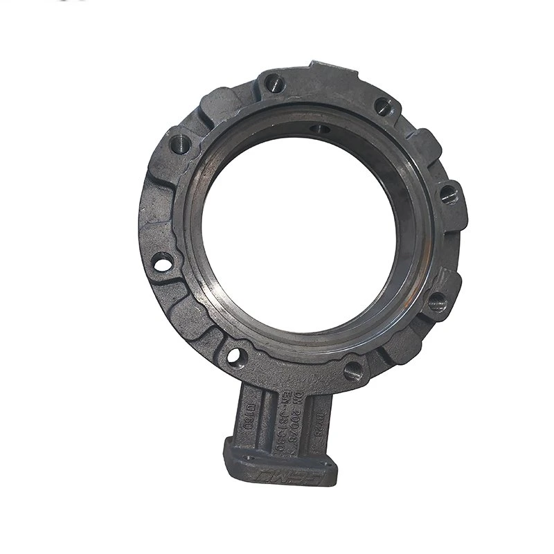 OEM DN50-DN1200 Ductile Iron Bronze Butterfly Valve Body