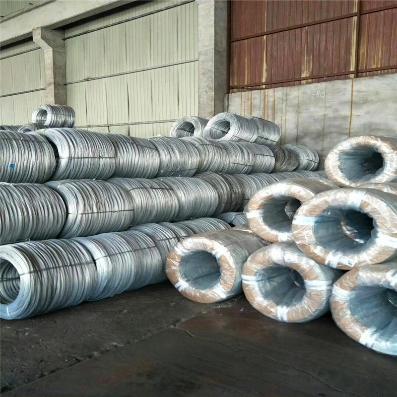 Low Carbon Steel Wire Hot Dipped 5.5mm Spring Wire SAE1008b SAE1006 S45c 10# 1010 Q235 Q195 77b 82b Swrm Stkm11A Galvanized Metal Nail Wire Bar Rod in Coils