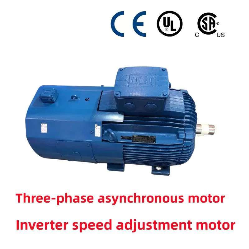 Motor für Drehzahleinstellung des Wechselrichters, UL-Authentifizierung/Elektromagnetischer Bremsmotor