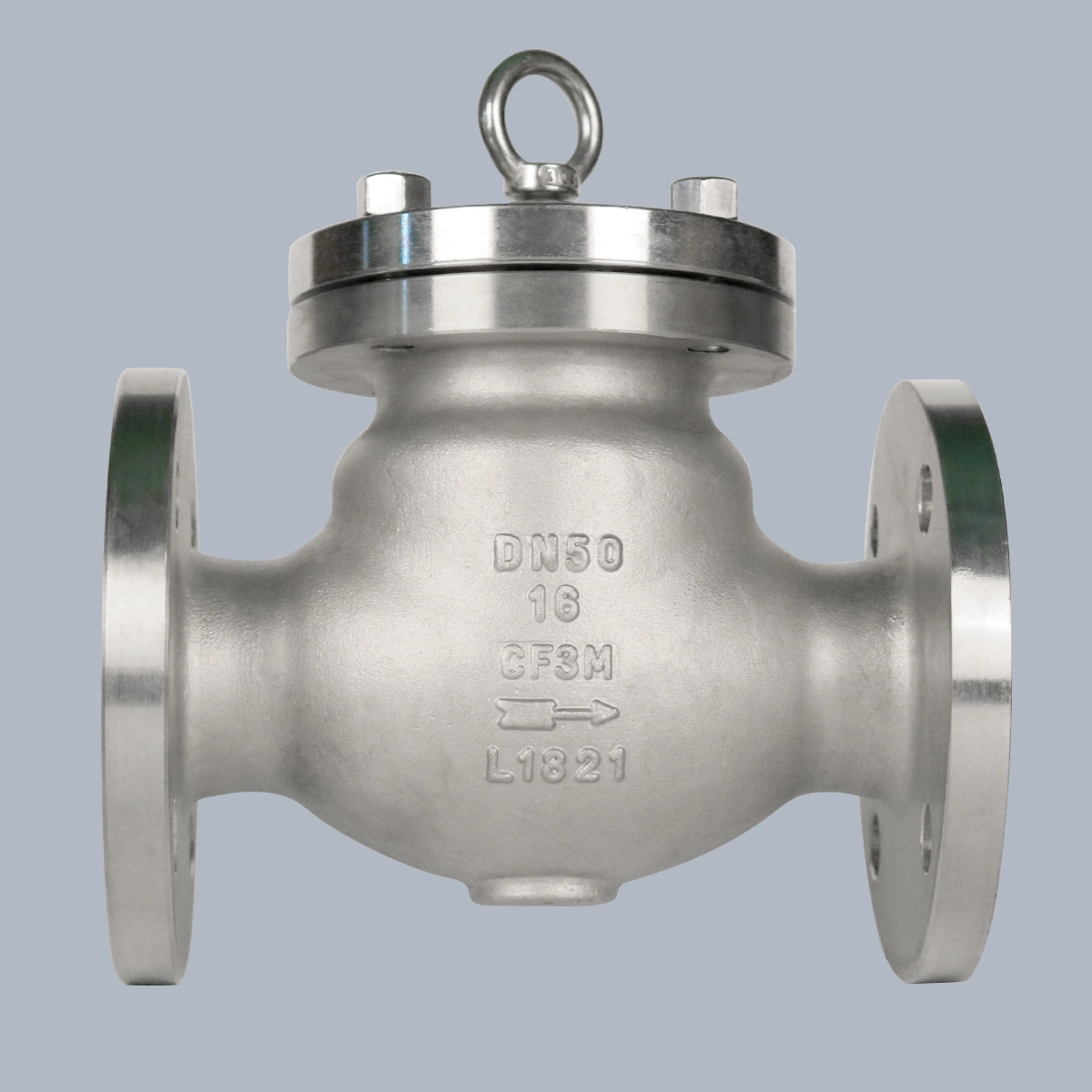 DN250 Pn40 CF8 CF8m Check Valve ANSI Class150 Flanged ANSI 150 RF Swing Check Valve DN300