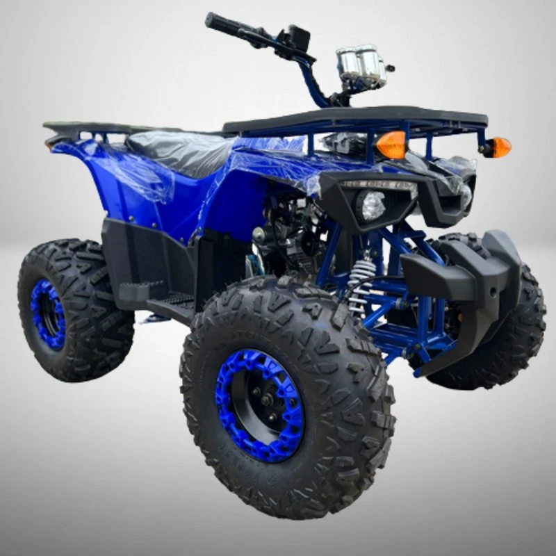 Высокое качество бензина ATV Quad 125 см с заднего хода