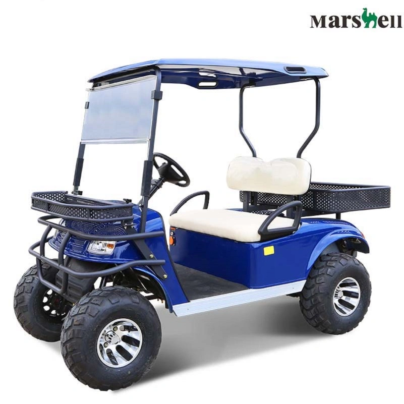 China Manufacturer Marshell Utility Vehicle 2 Seater Electric Golf Buggy (DH-C2)