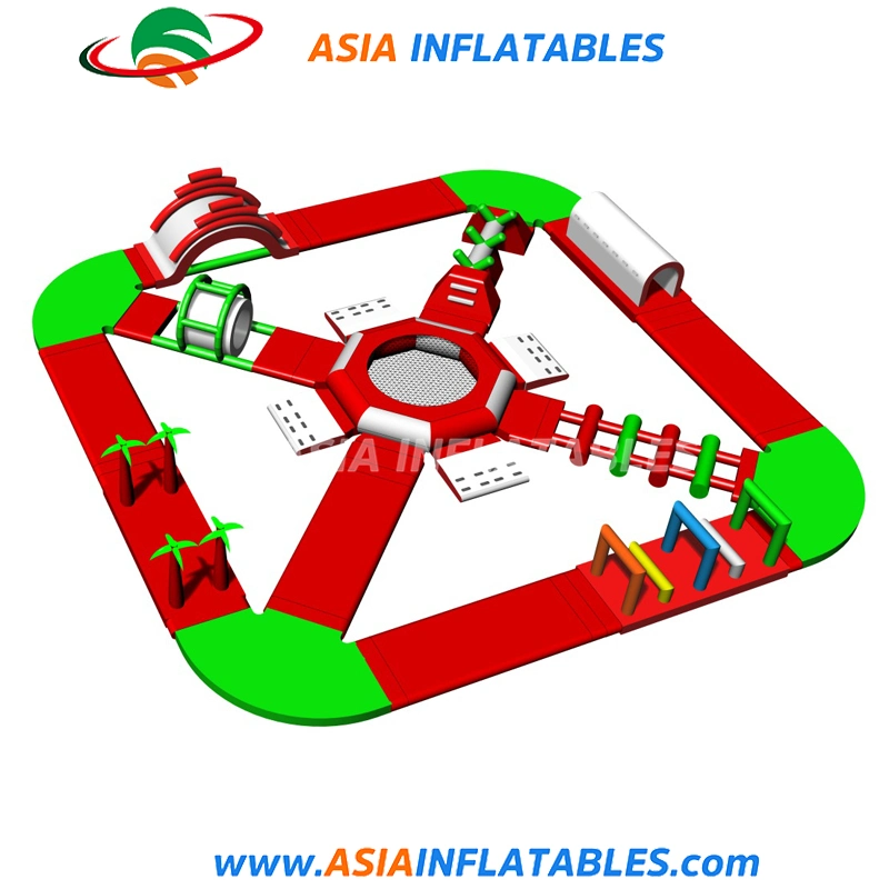 Outdoor Octopus Theme Playground Inflatable Water Park, Commerical Inflatable Water Slide