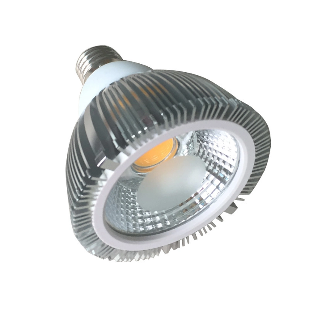 LED COB PAR 20 E27 15W PAR30 Light Bulbs High Power Bedroom Lamp Lights Warm White Spotlight AC85-265V