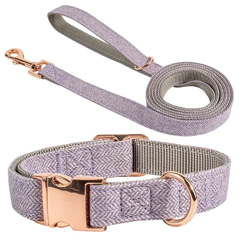 Coleira personalizada para animais de estimação Rosa Dourado Buckle da Hot Sale Em conjunto de coleira e leash para cães de tamanho de ajuste em stock