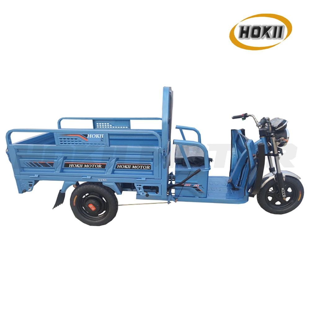 China Manufacturer Good Quality Cargo Transport 1000W Motor E-Bike Electric Tricycle Three Wheeler Motorcycle Triciclo Electrico Vehicle for Sale