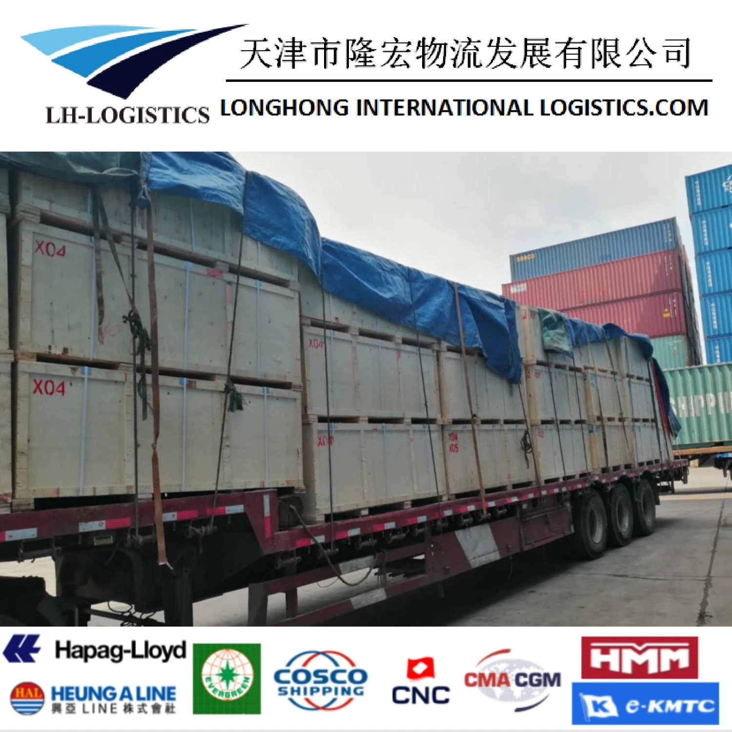 Professional Sea Freight Forwarder Agent Shipping From China to Euro /Italy/ France