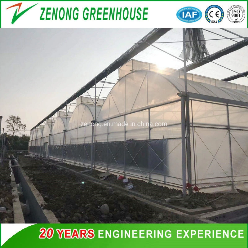 Low Cost Hydroponics System Farm Greenhouse Polytunnel Multi Span Plastic Film Greenhouse