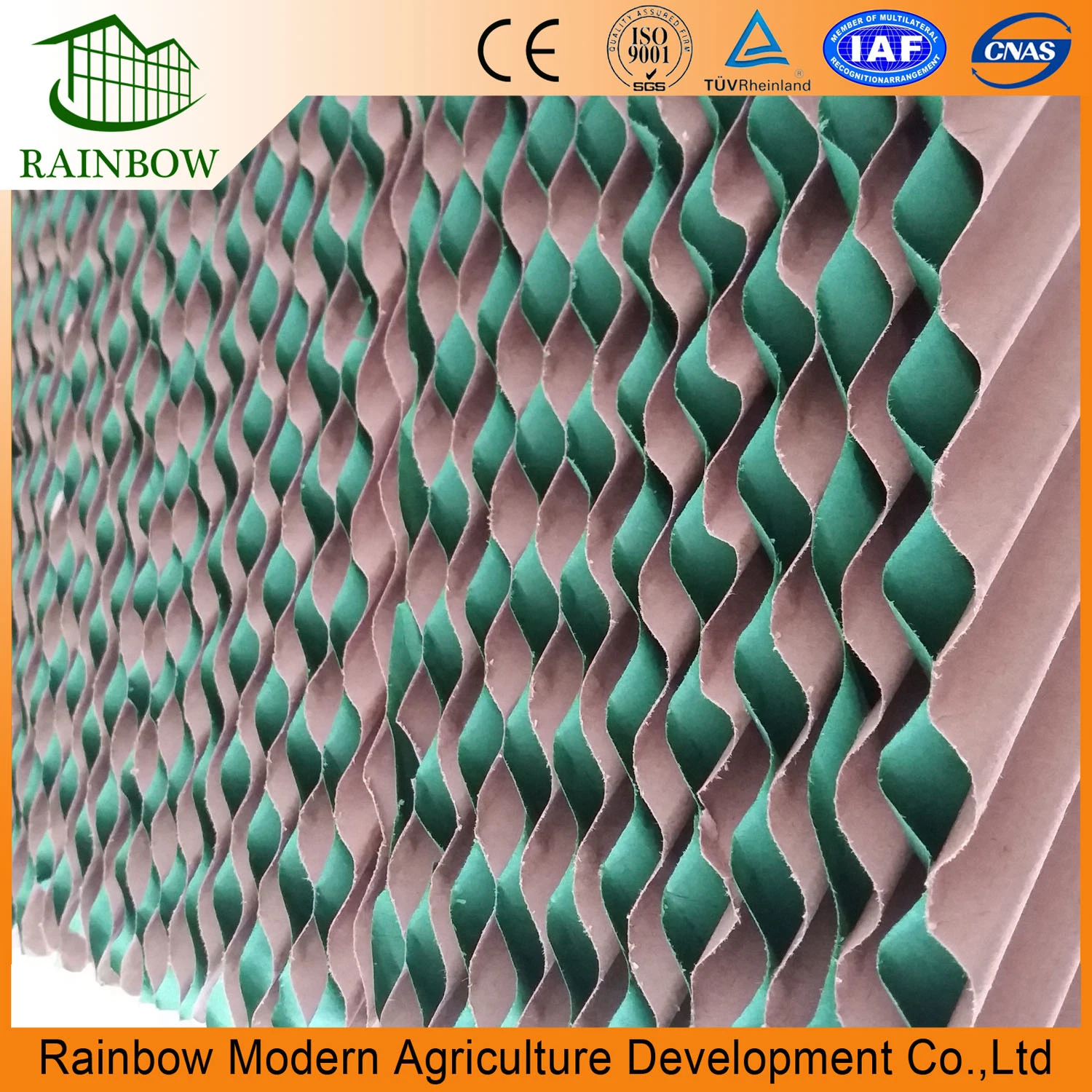 Agriculture Professional Greenhouse Cooling Pad System