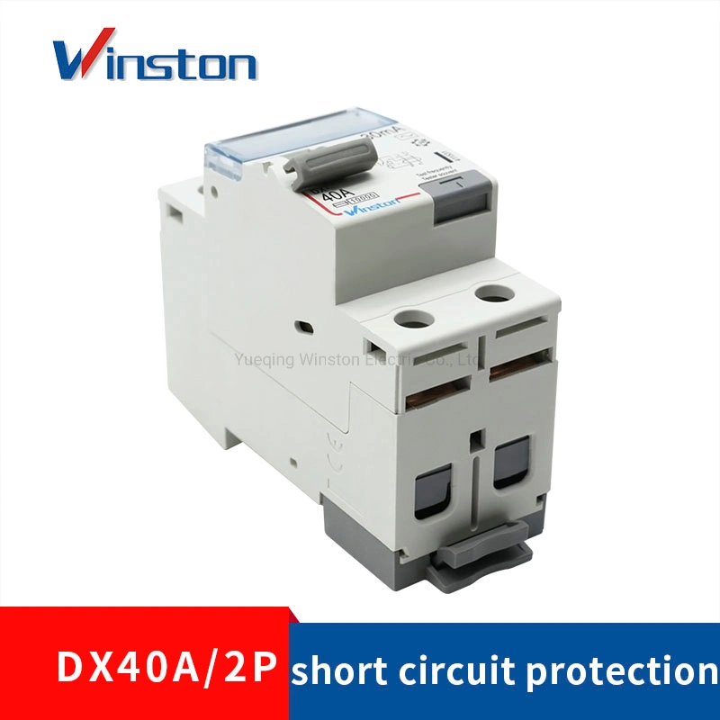 Dx 40A 2p 230V 6A-100A RCCB Mini Leakage Circuit Breaker