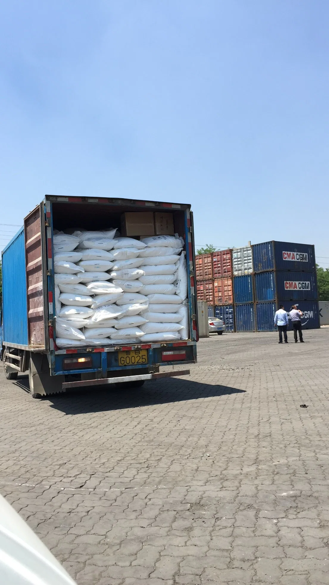 Walnuts Sea Freight From Qingdao Shanghai Ningbo Shenzhen to Karachi Pakistcan