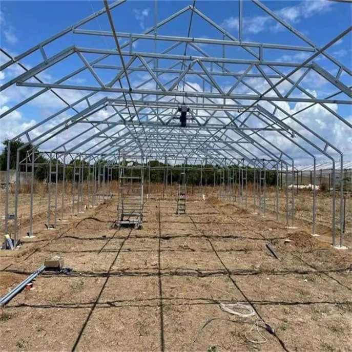 2023 Hot Single-Span Greenhouses Automated Light Deprivation Blackout Greenhouse Plastic Greenhouses for Medical Plant with Hydroponic Systems