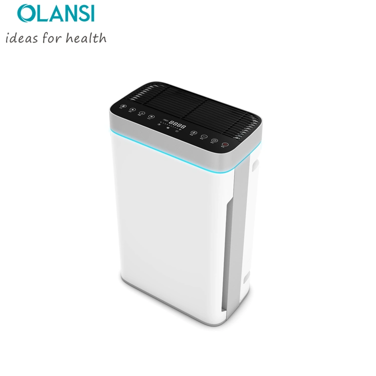 Hot Selling Ion Air Cleaner High Efficiency Smart Air Cleaner for Restaurant Home Use