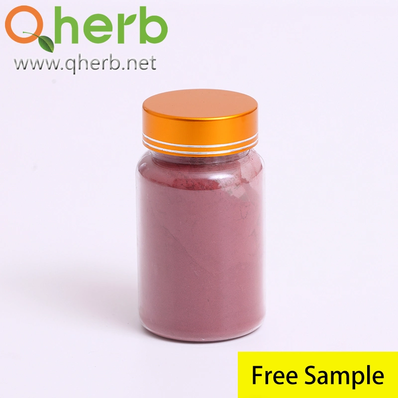 Natural Coloring Agent Food Additive Monascus Red Monascus Purpureus Fermentation Red Yeast Rice Powder