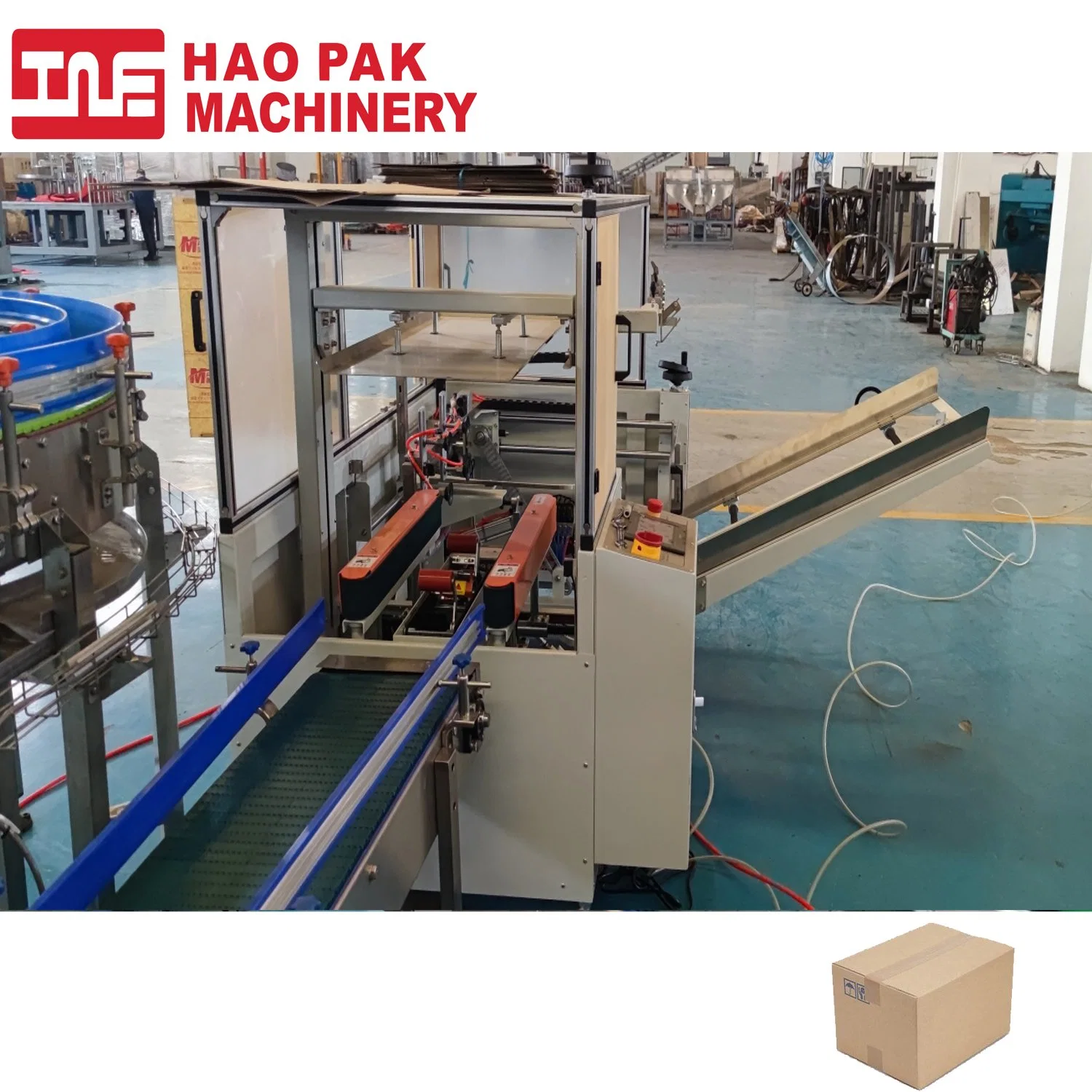 Carton Case Box Packing Line Automatic Strapping Machine Sealing Machine