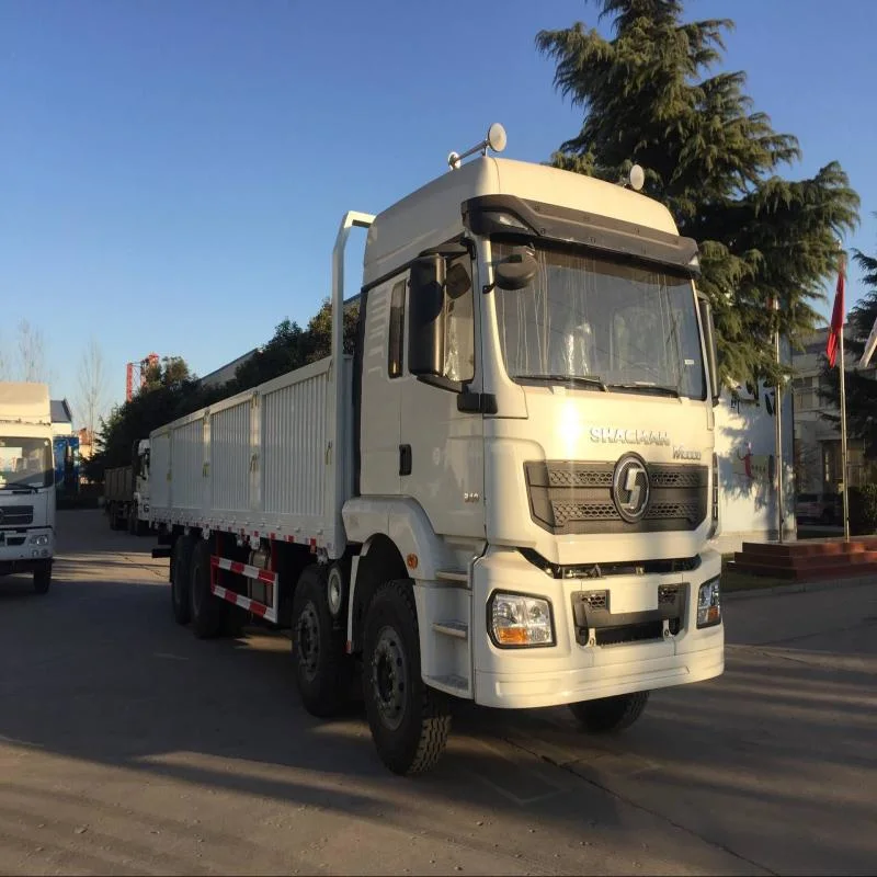 SHACMAN F3000/8X4 LKW