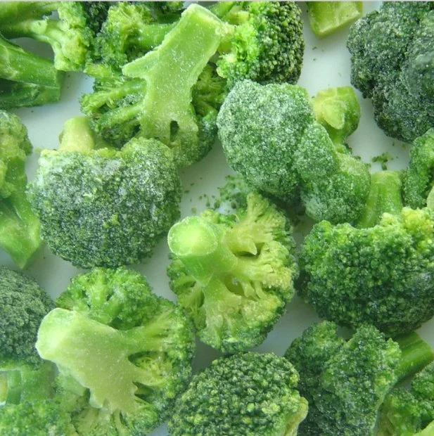 IQF Broccoli, Frozen Broccoli, Organic Frozen Broccoli, Frozen Vegetables