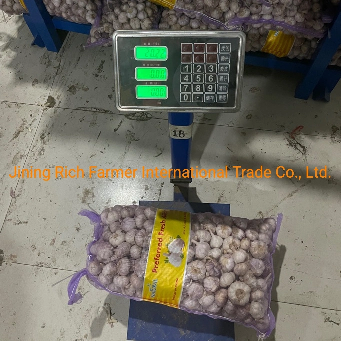 Factory Direct Supplier 4.5cm Chinese Normal White Fresh Garlic