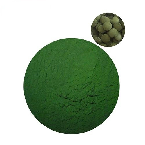 Supplement Tablet/Powder Super Food Chlorella