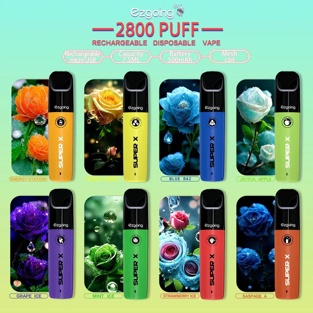 Vaporizer Disposable/Chargeable Electronic Vape Smoking Price Wholesale/Supplier E Cigarette