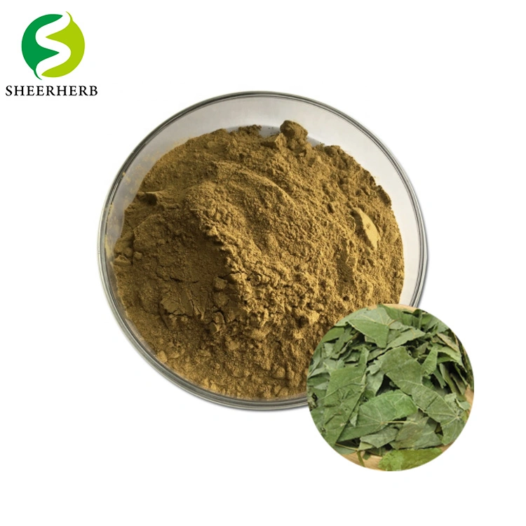 Pharmaceutical Grade Body Building Icariin 60% Powder Buy Bulk Epimedium Powder