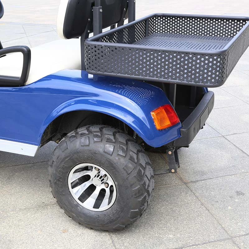 China Manufacturer Marshell Utility Vehicle 2 Seater Electric Golf Buggy (DH-C2)