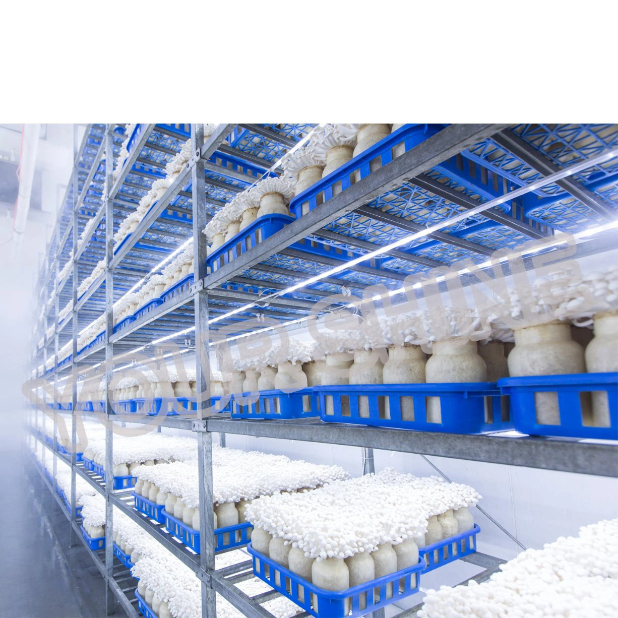Prefabricated PU PUR/PIR Foam Cold Frozen Storage Warehouse Room Panel