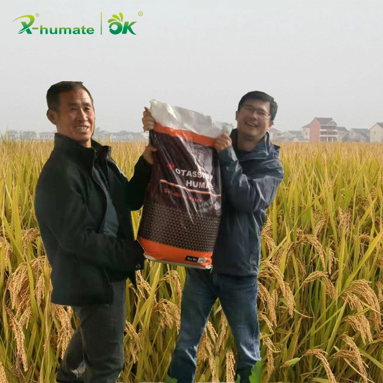 Potassium Rich Fertilizer Water Soluble Humate Potassium Powder/Flake/Crystal