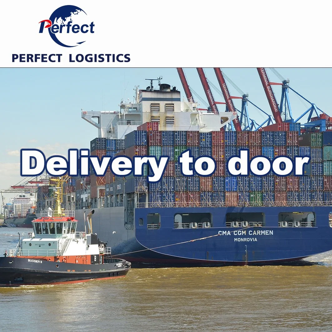 Agente profissional Sea Freight Service da China para a Europa Shipping Frete