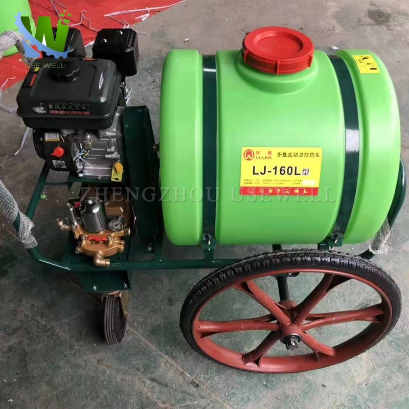 Agricultural Sprayer Machine Gasoline Power Pumps