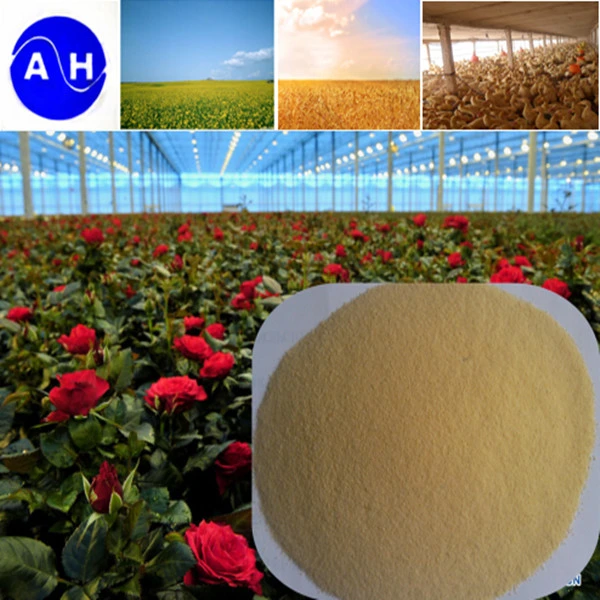 Hot Sale Organic Calcium Amino Acid Fertilizer