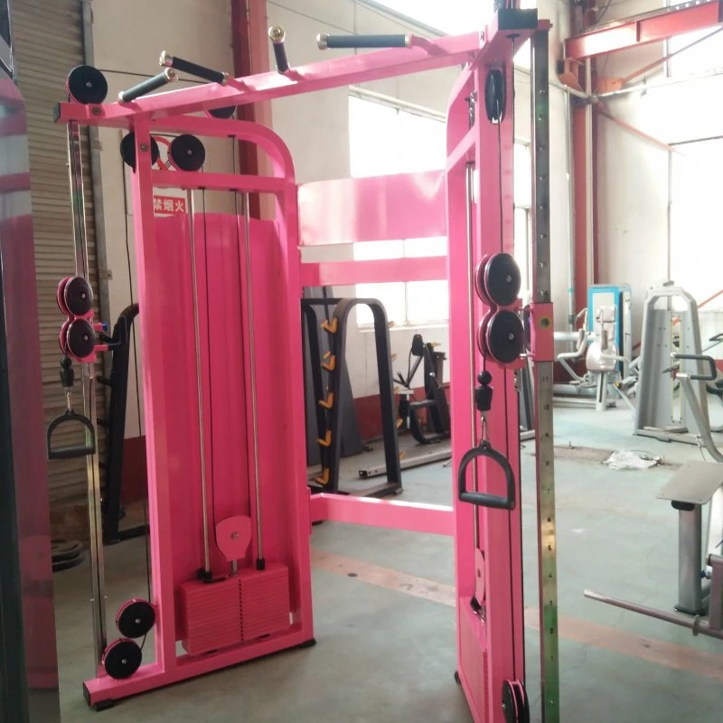 Professional Fitness Equipment Commercial Fitness Equipment Mini Functional Trainer for Gym (AXD-8017)