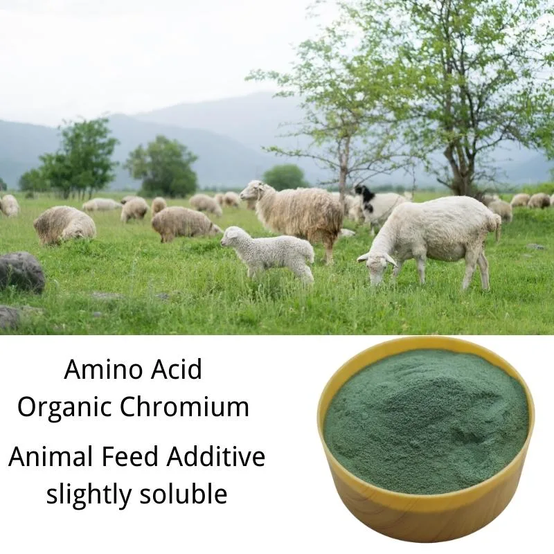 Chromium Picolinate Animal Feed Additive Chelate Chromium 8% Amino Acid Chromium Slight Soluble