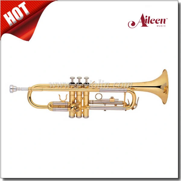 Popular Left Hand Musical Instruments Trumpet (TP8391G)