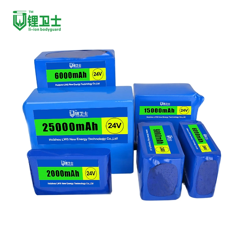 Lws Lithium Iron E-Bike Battery 24V 8s1p 2000mAh Battery Pack