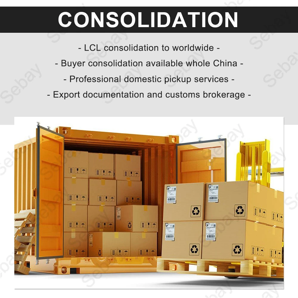 Servicio competitivo de envío de contenedores a Canadá o China Transporte marítimo a Halifax
